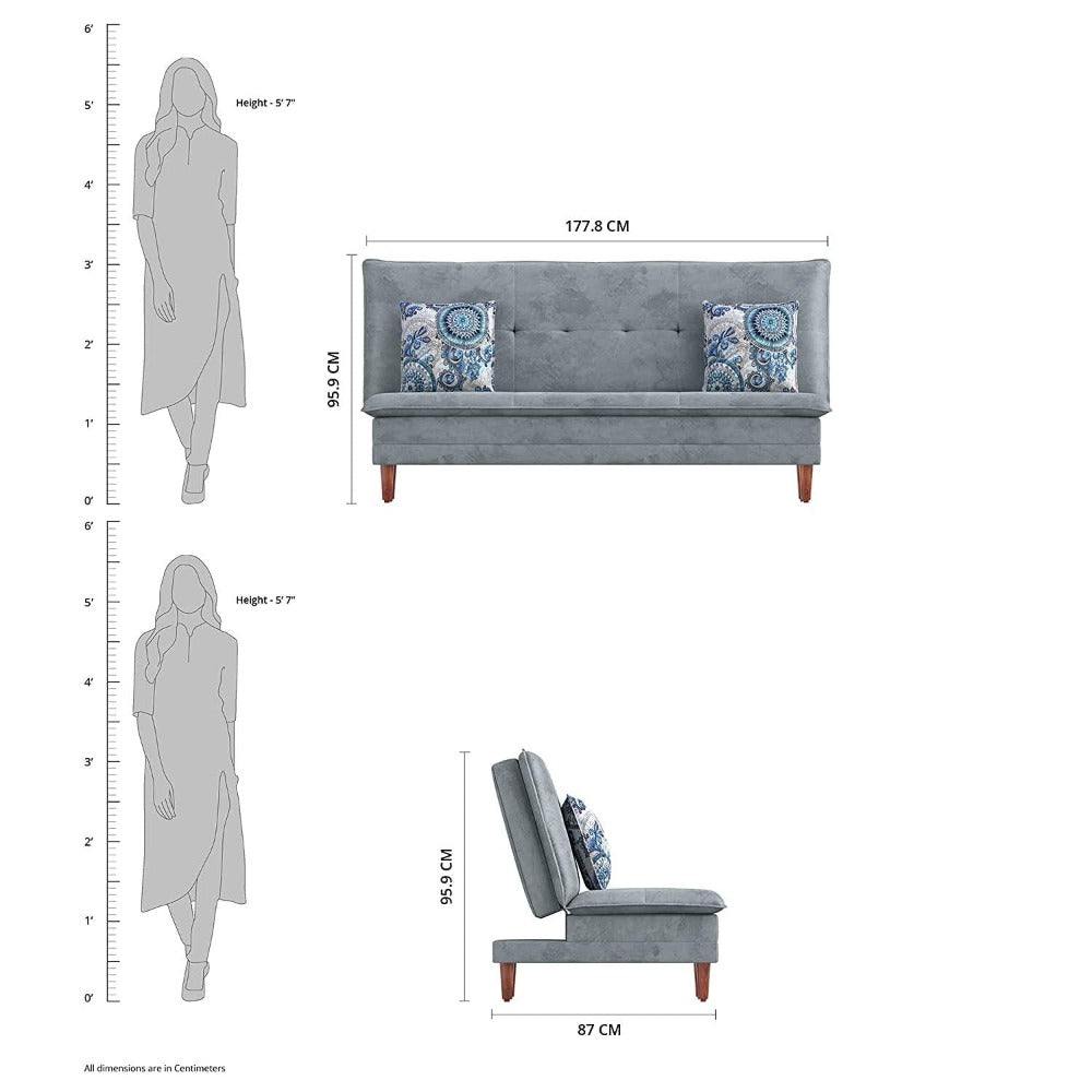 Robin Sofa Cum Bed in Grey Color - Oak Inside