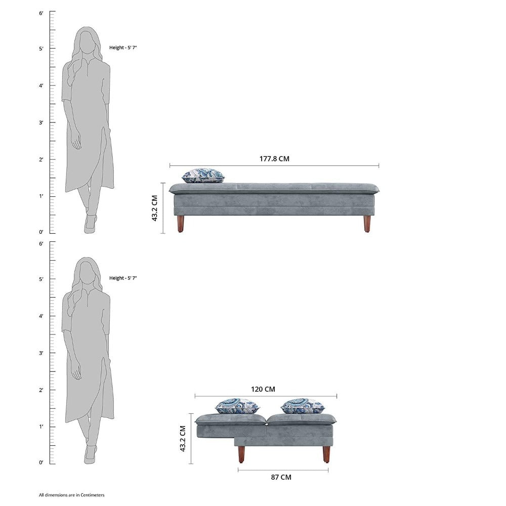 Robin Sofa Cum Bed in Grey Color - Oak Inside