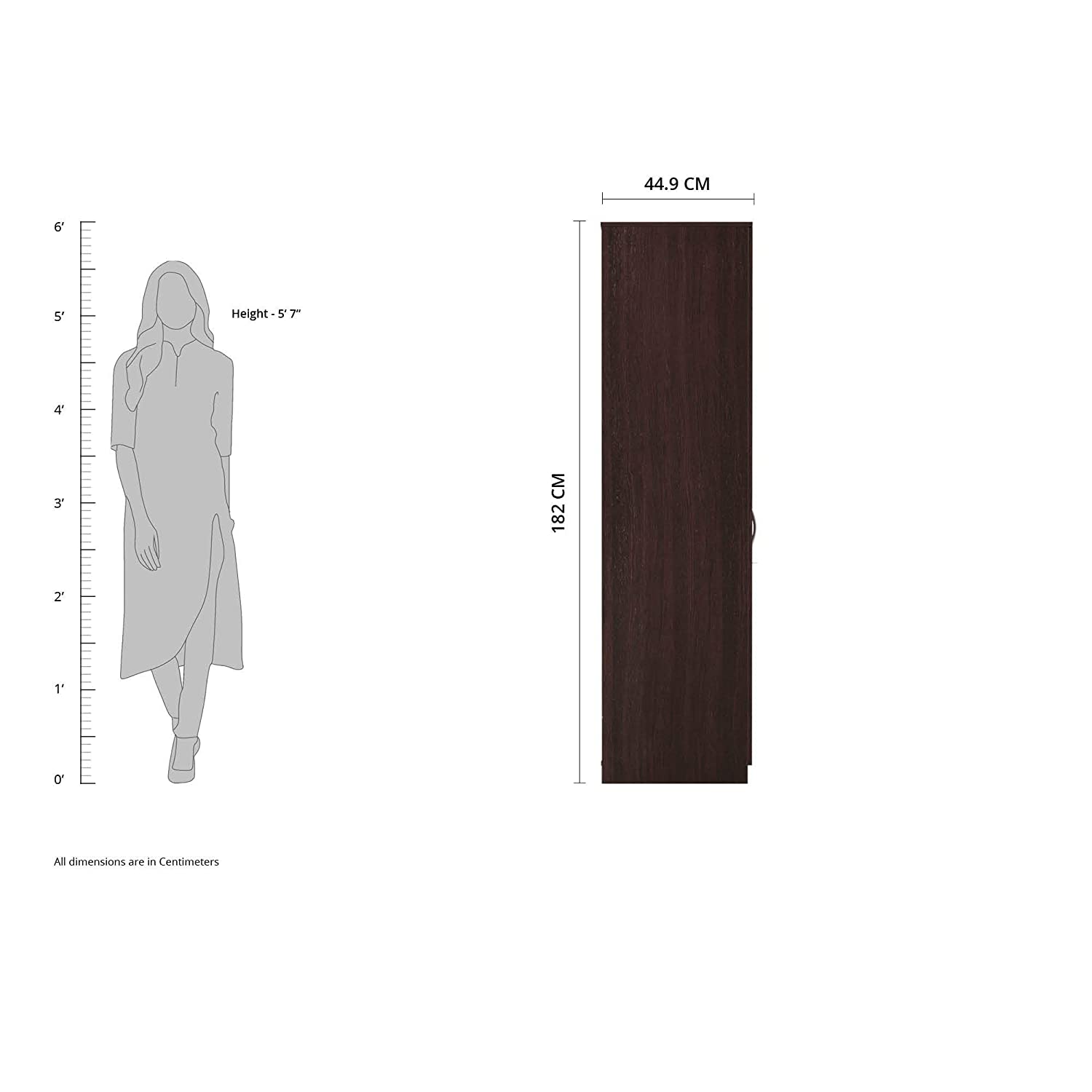 Tuffio Medusa Engineered Wood Wardrobe Wenge Finish - Oak Inside