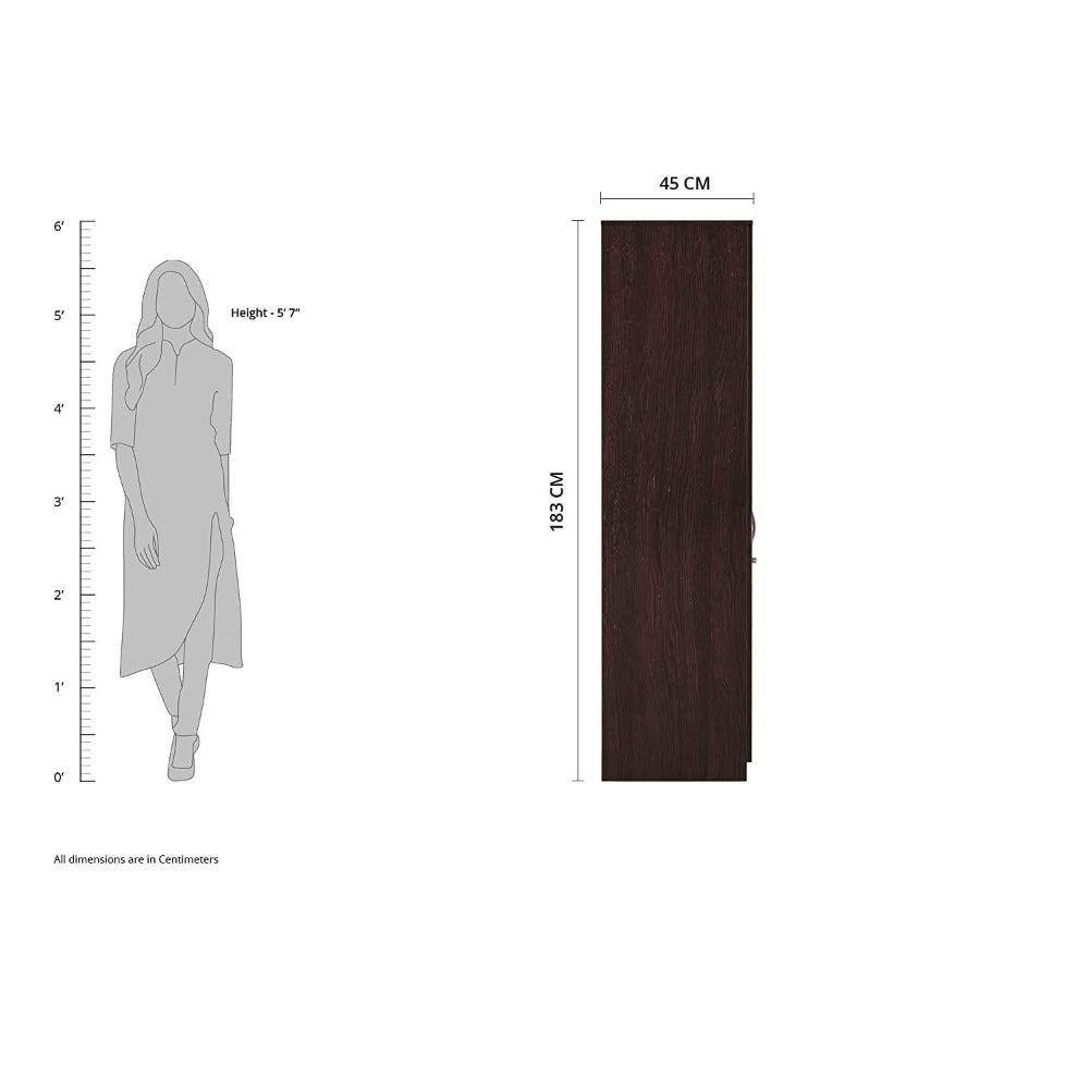 Rolx Medusa Engineered Wood Wardrobe Wenge Finish - Oak Inside